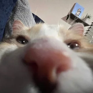 😋