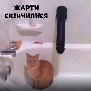 🍆