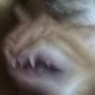 😂