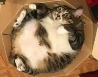 😐