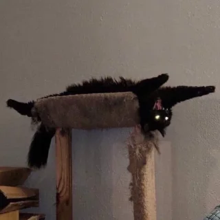 😺