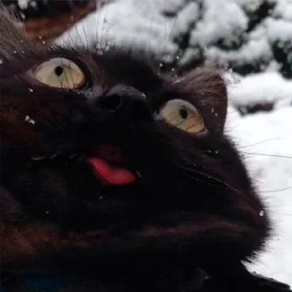 😵