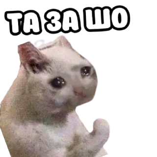 😩