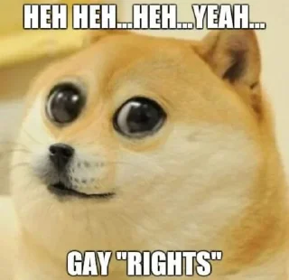 🏳️‍🌈