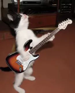 🎸