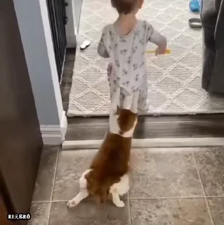 😂