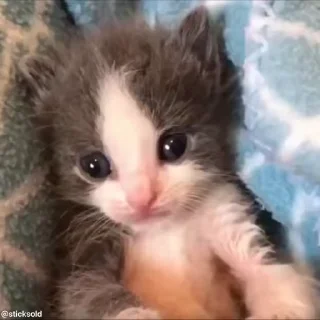 😳