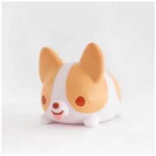 ✨
