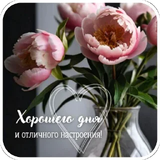 🌸
