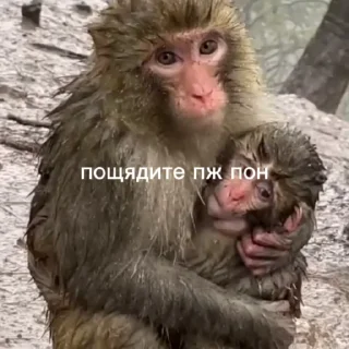 🌟