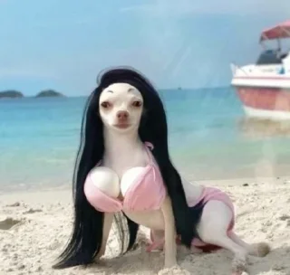 🤭