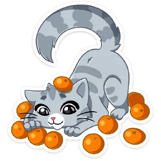 🍊