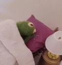 😴