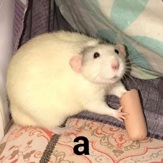 😕