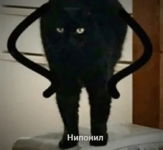 🧐