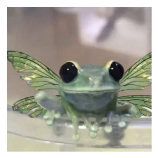 🐸