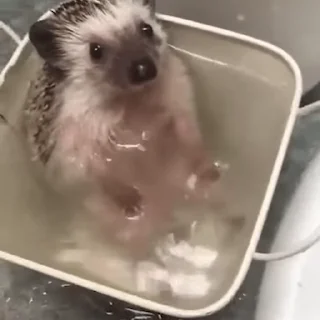 🛁