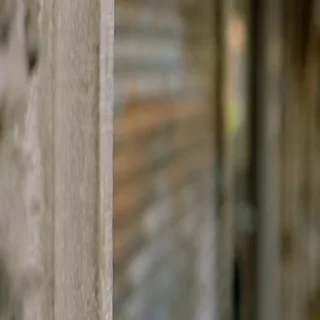 🥷