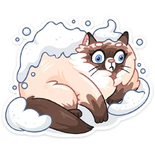 ❄️