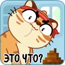 💩