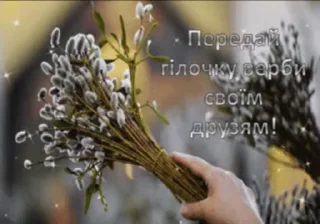 🌷