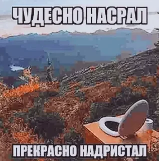 🚽