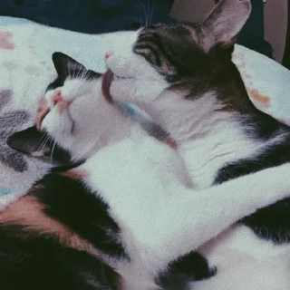 😛