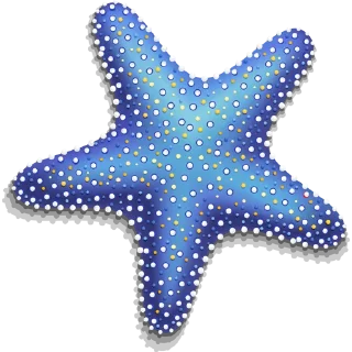 ⭐️