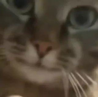 😐