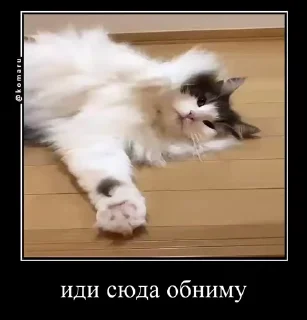 👐