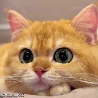 😉