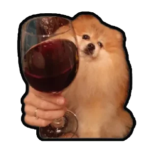 🍷