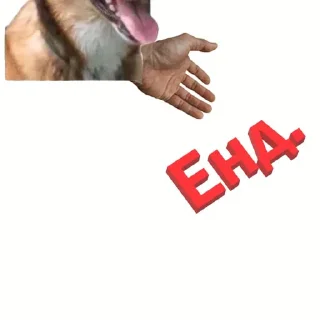 ❎