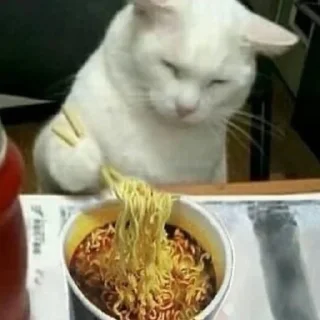 🍜