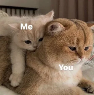💕