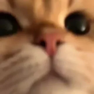 😑
