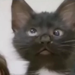 😵