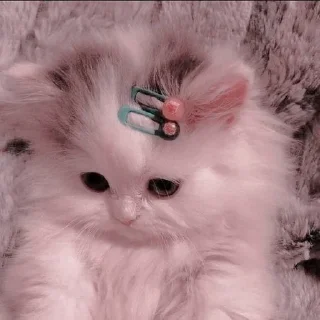 💖