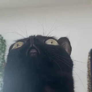 🙄