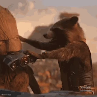🦝