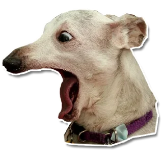 😱