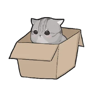 🐱