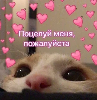 🥺