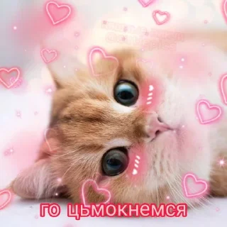 💋
