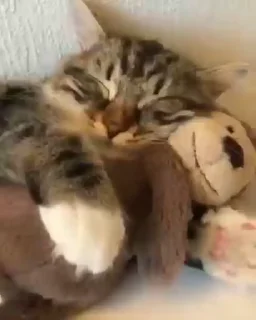 🤗