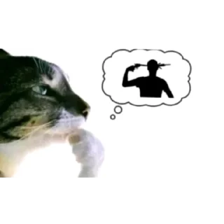🐱