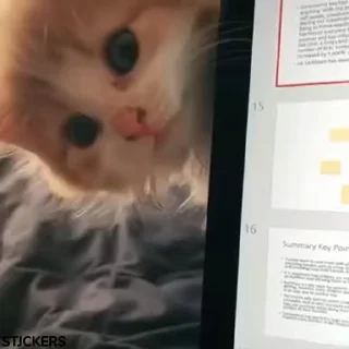 😌