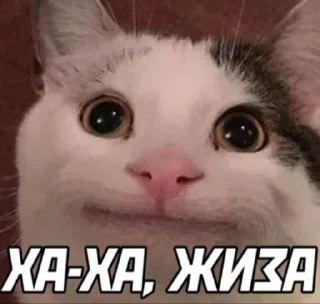 😁