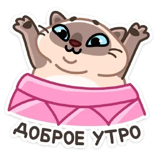 Котик Плюш @colored_emotions