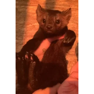 🤲